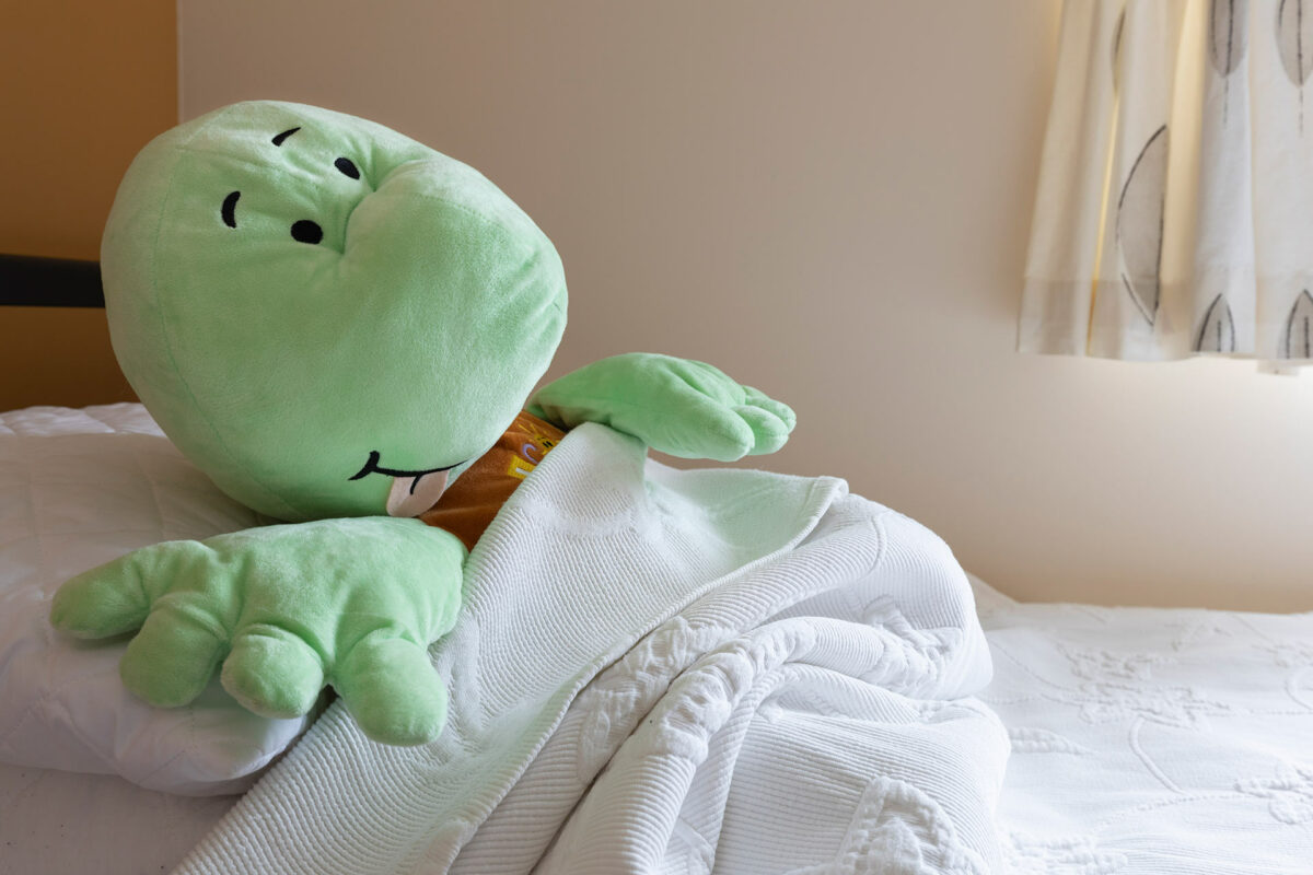 Myrtle taking a nap in the Casita lodge at Welcome Family Holiday Park