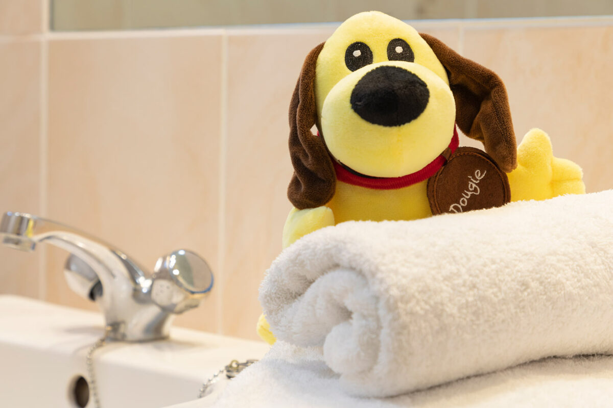 Dougie in the Wavesurfer bungalow at Welcome Family Holiday Park