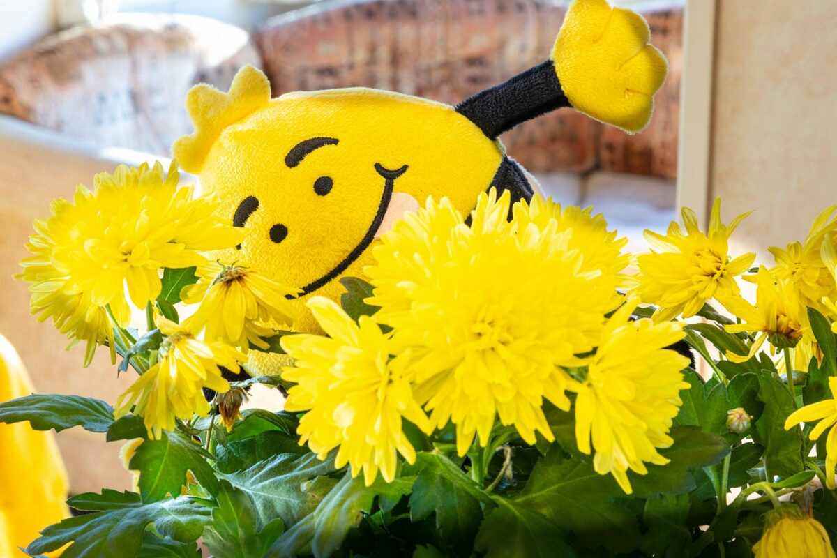 Whizzy smelling the flowers in the Blue Reef Caravan at Welcome Family Holiday Park