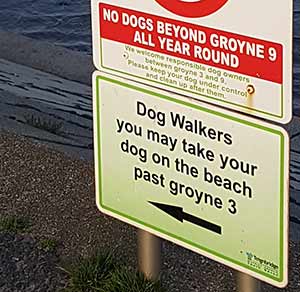 Dogs allowed on beach, Dawlish Warren, South Devon