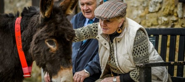 Lady petting a donkey and the Donkey Sanctuary in Sidmouth