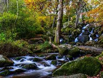 http://Waterfall%20at%20Becky%20Falls%20in%20Devon.