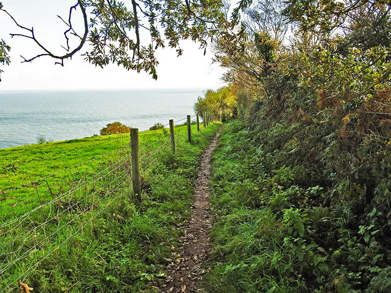 Coast Path in South Devon