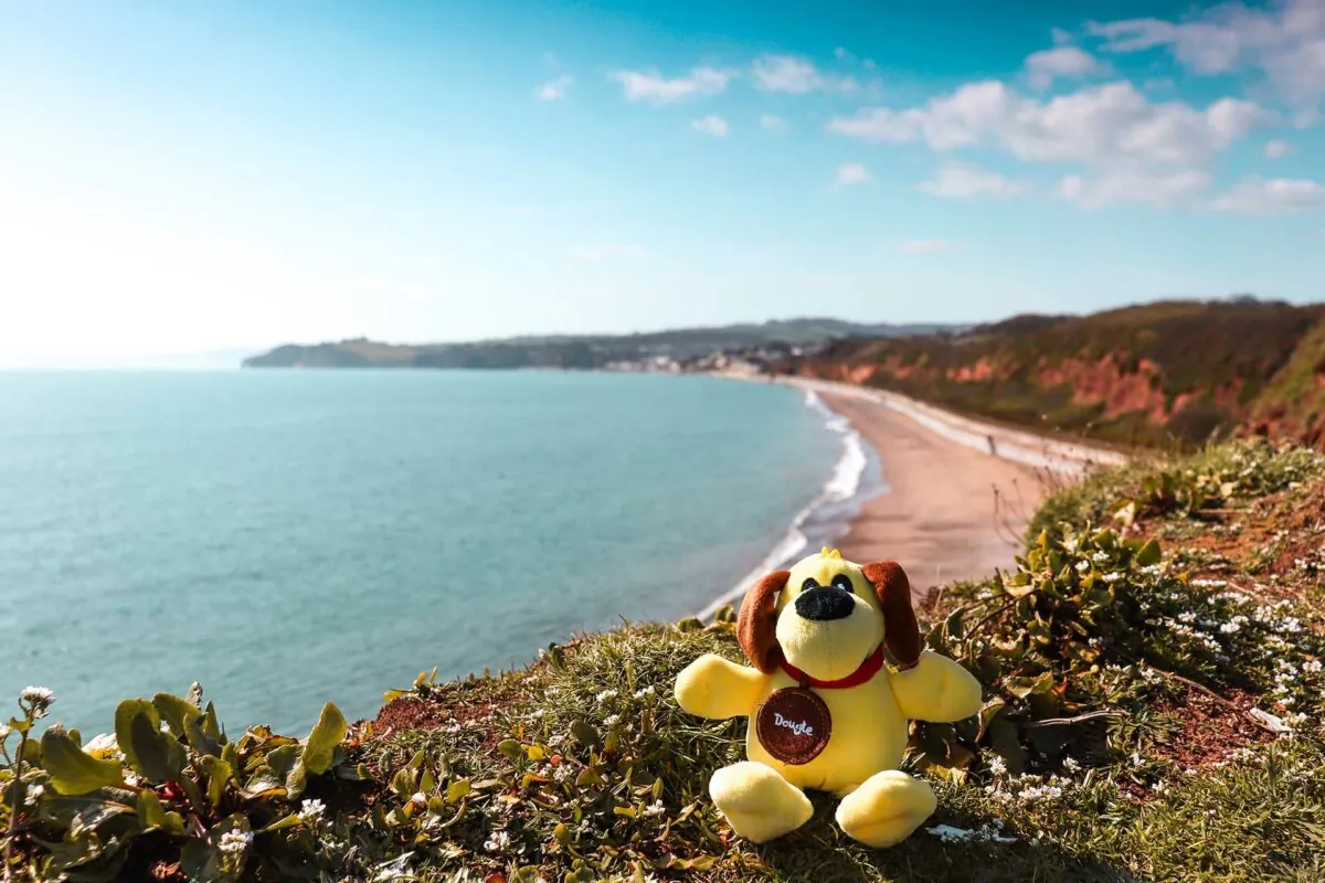 http://Dougie%20Dog%20toy%20on%20Langstone%20Cliffe