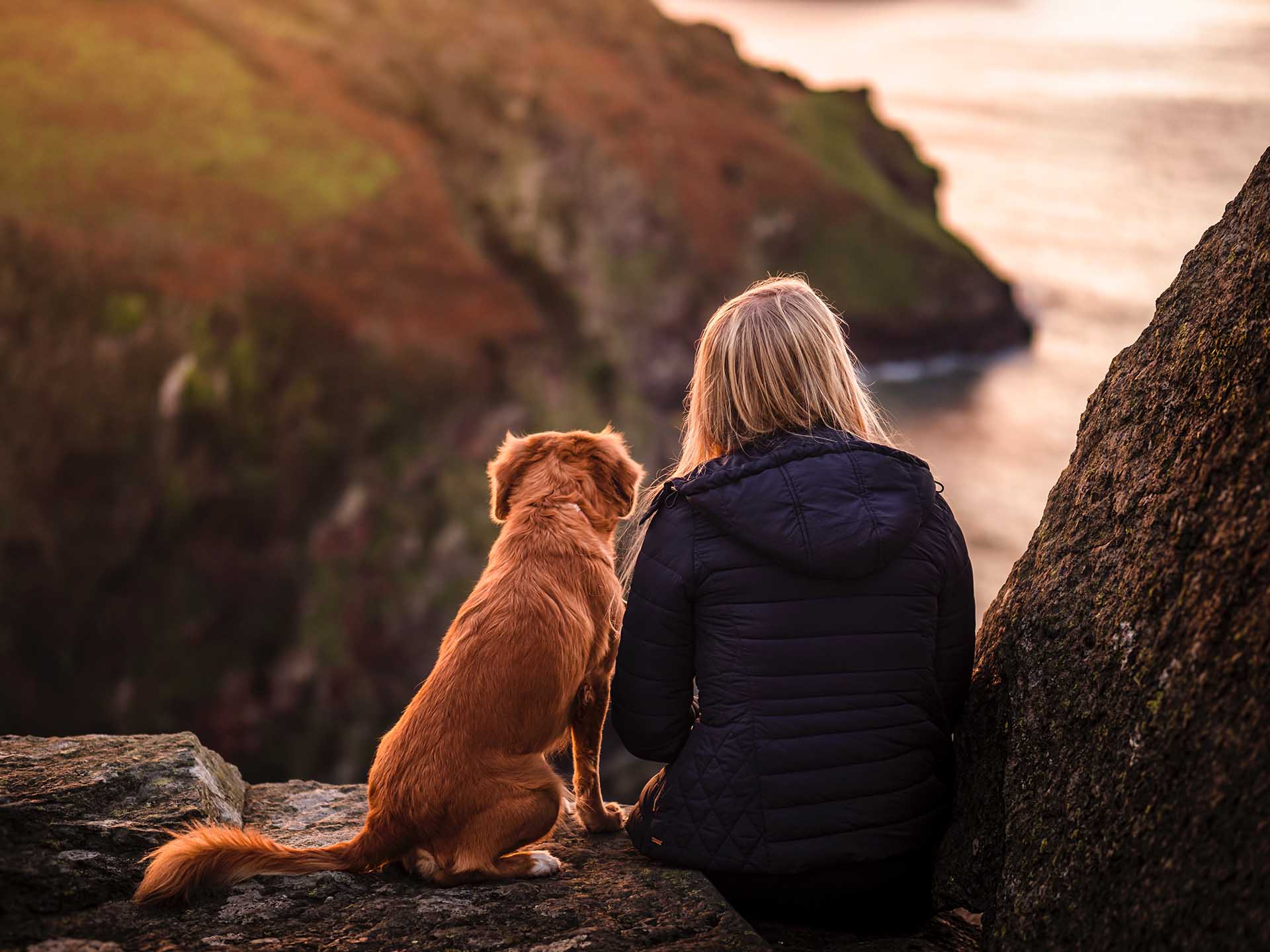 Enjoying sea view with pet dog