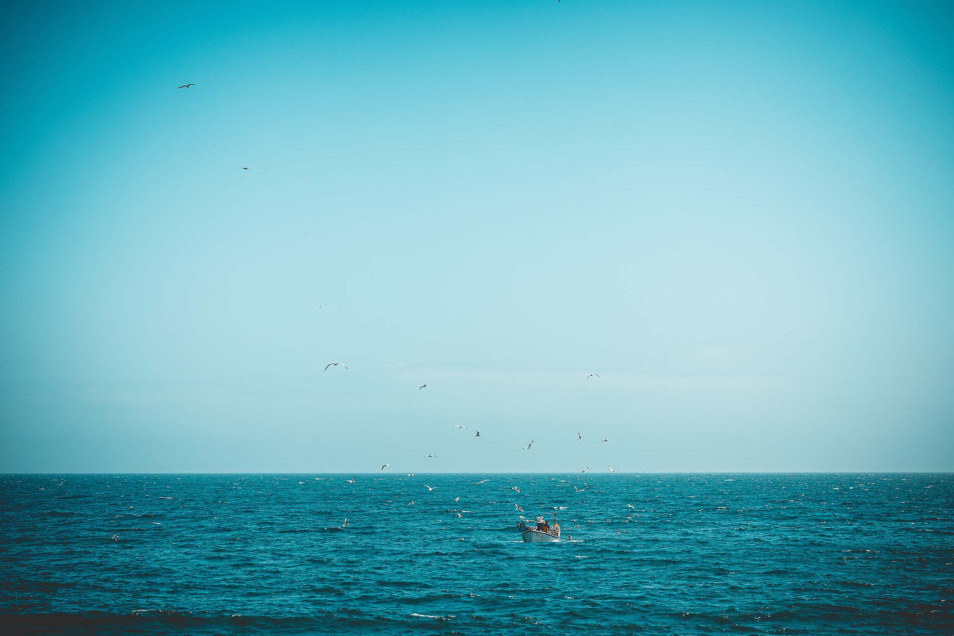 Fishing boat at sea with seagulls overhead