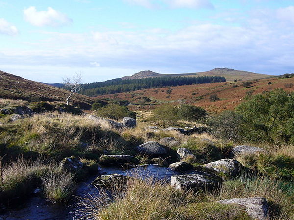 Beautiful Dartmoor
