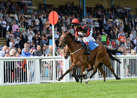 Newton Abbot Races